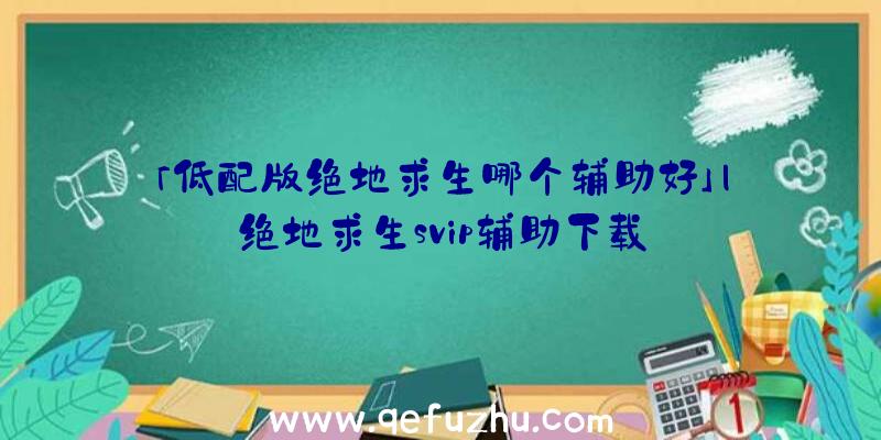 「低配版绝地求生哪个辅助好」|绝地求生svip辅助下载